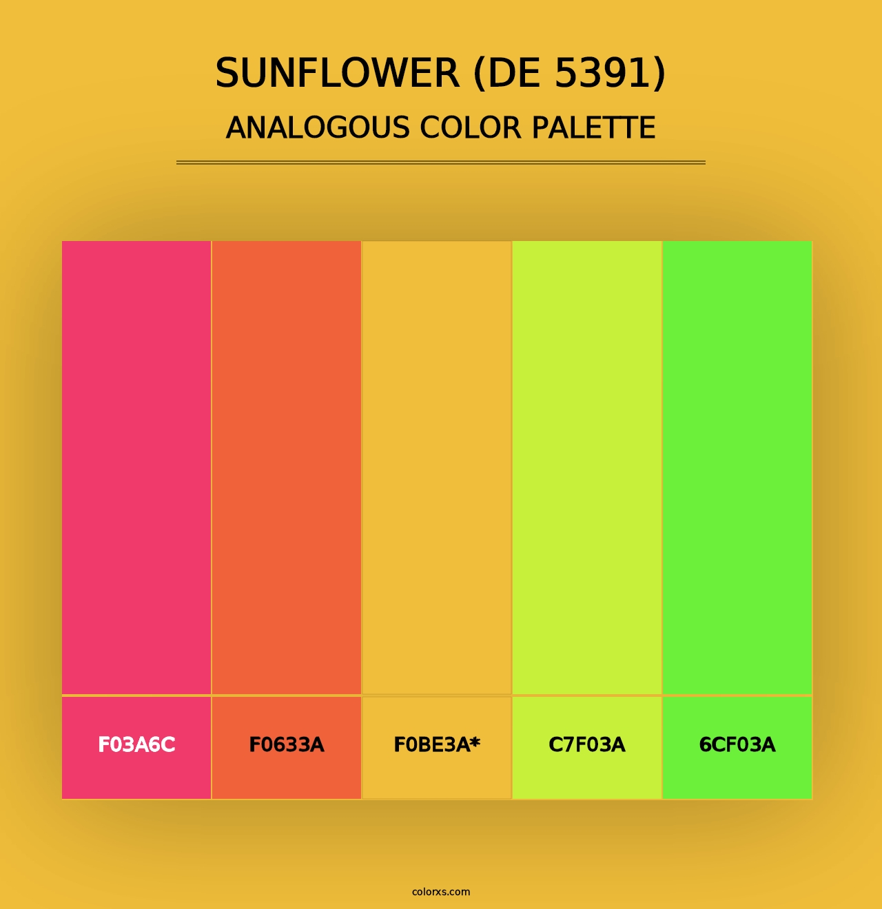 Sunflower (DE 5391) - Analogous Color Palette