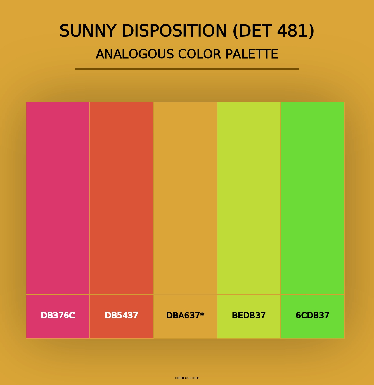 Sunny Disposition (DET 481) - Analogous Color Palette