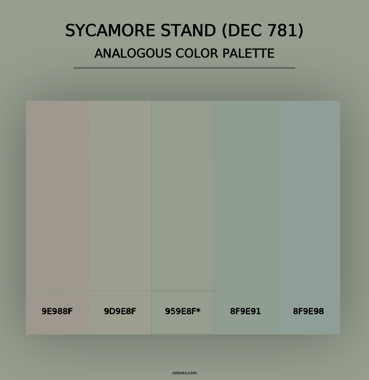 Sycamore Stand (DEC 781) - Analogous Color Palette