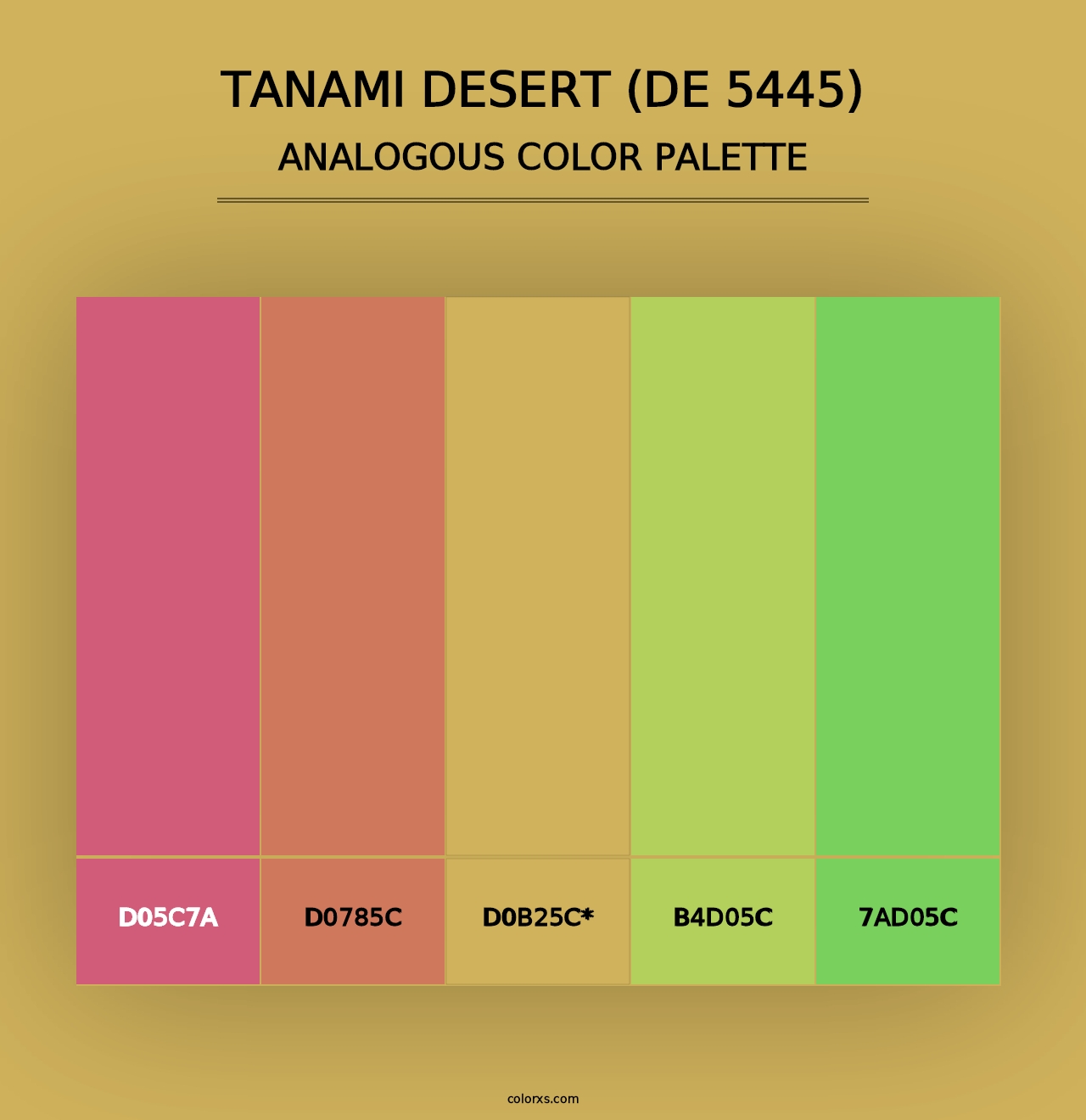 Tanami Desert (DE 5445) - Analogous Color Palette