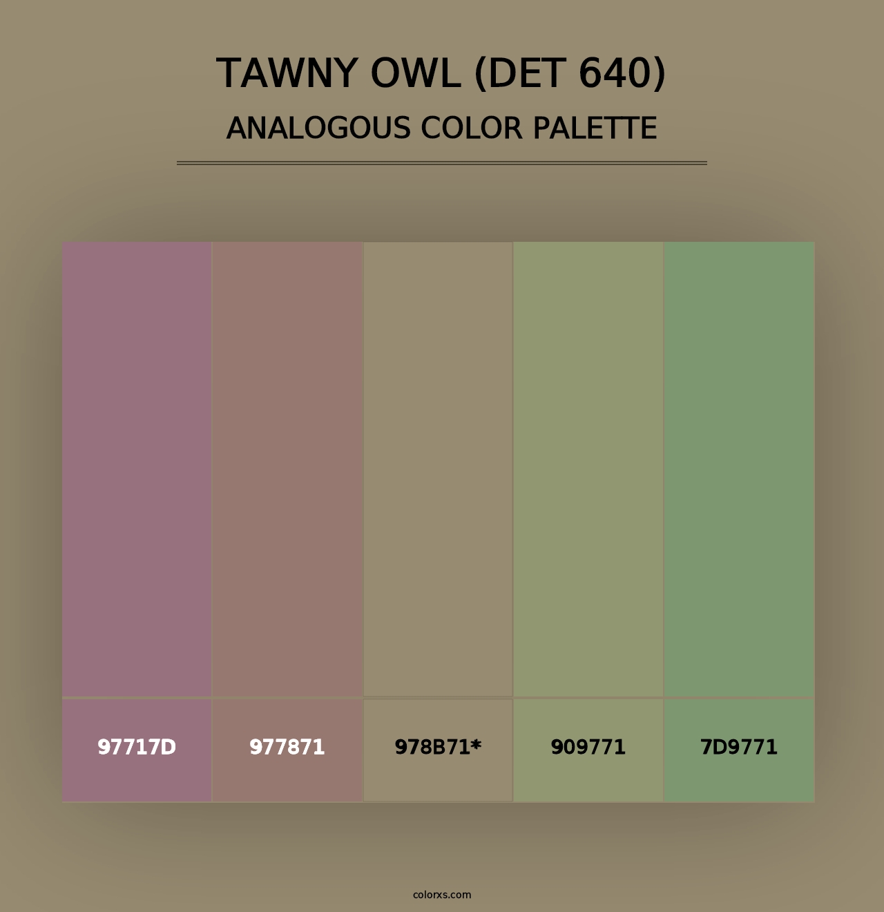 Tawny Owl (DET 640) - Analogous Color Palette