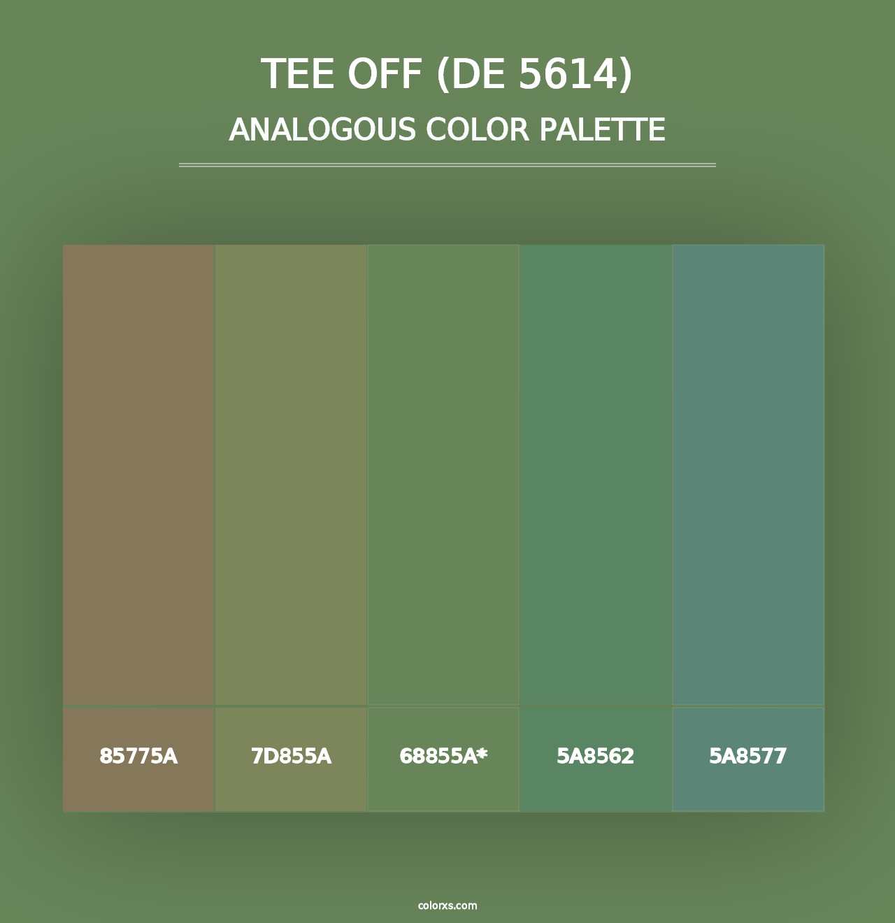 Tee Off (DE 5614) - Analogous Color Palette