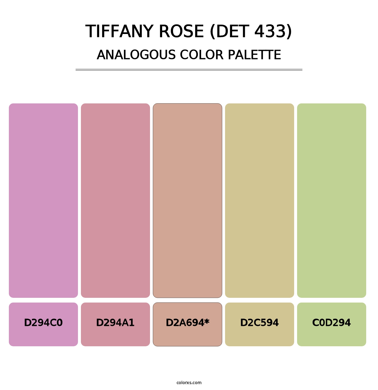 Tiffany Rose (DET 433) - Analogous Color Palette