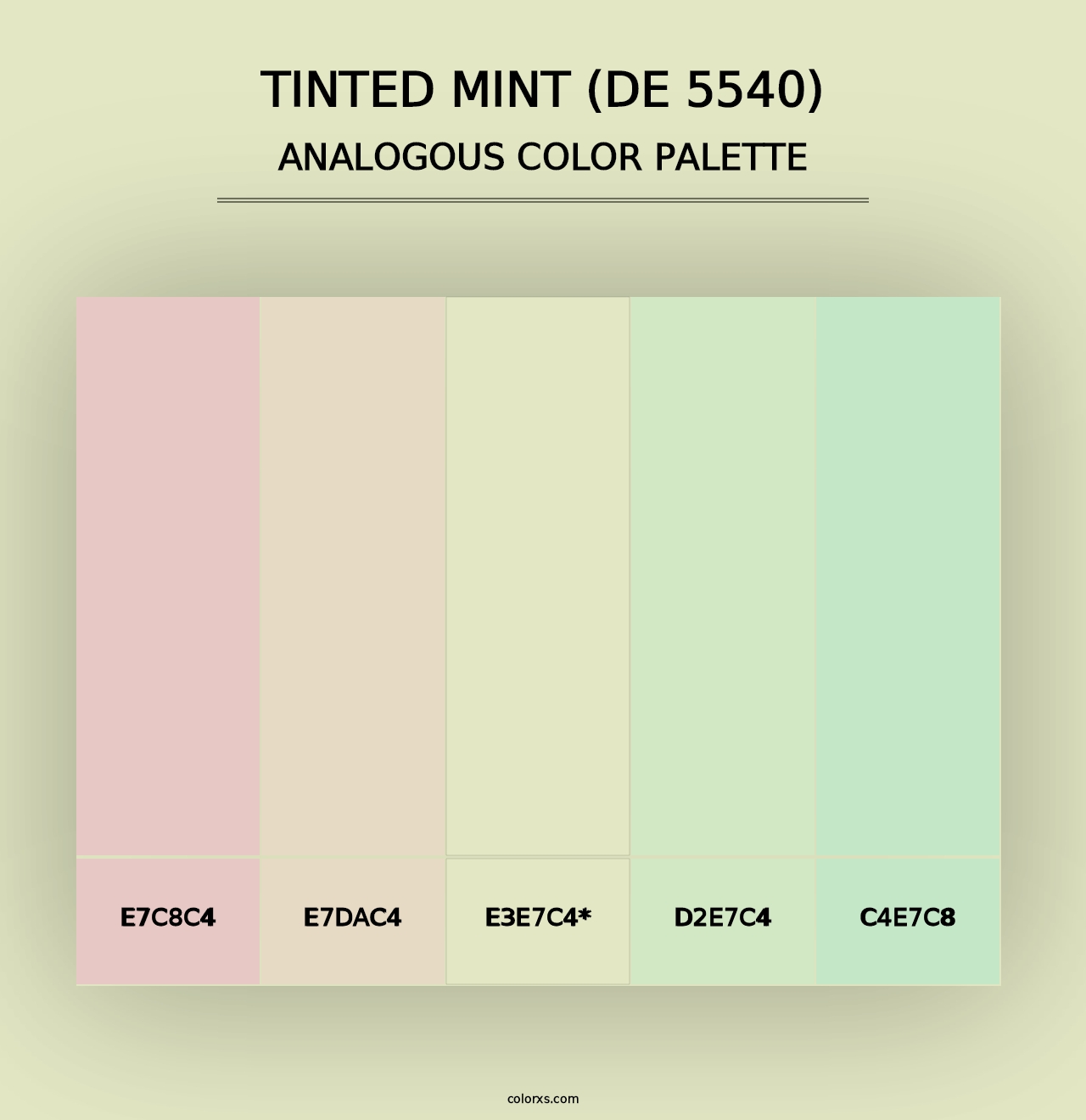 Tinted Mint (DE 5540) - Analogous Color Palette