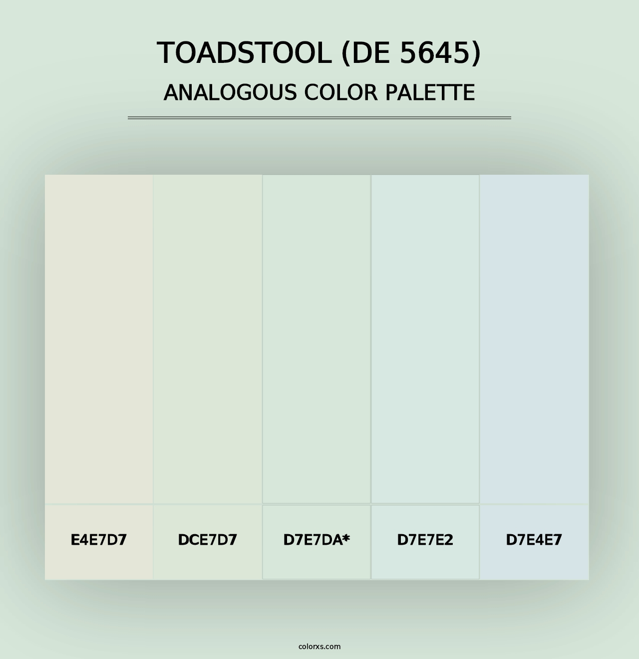 Toadstool (DE 5645) - Analogous Color Palette