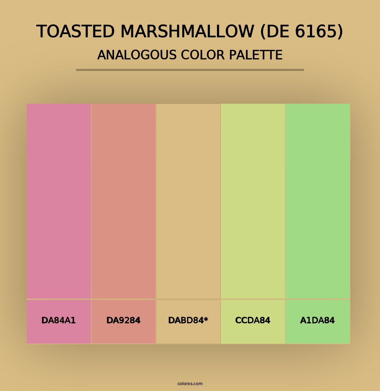 Toasted Marshmallow (DE 6165) - Analogous Color Palette