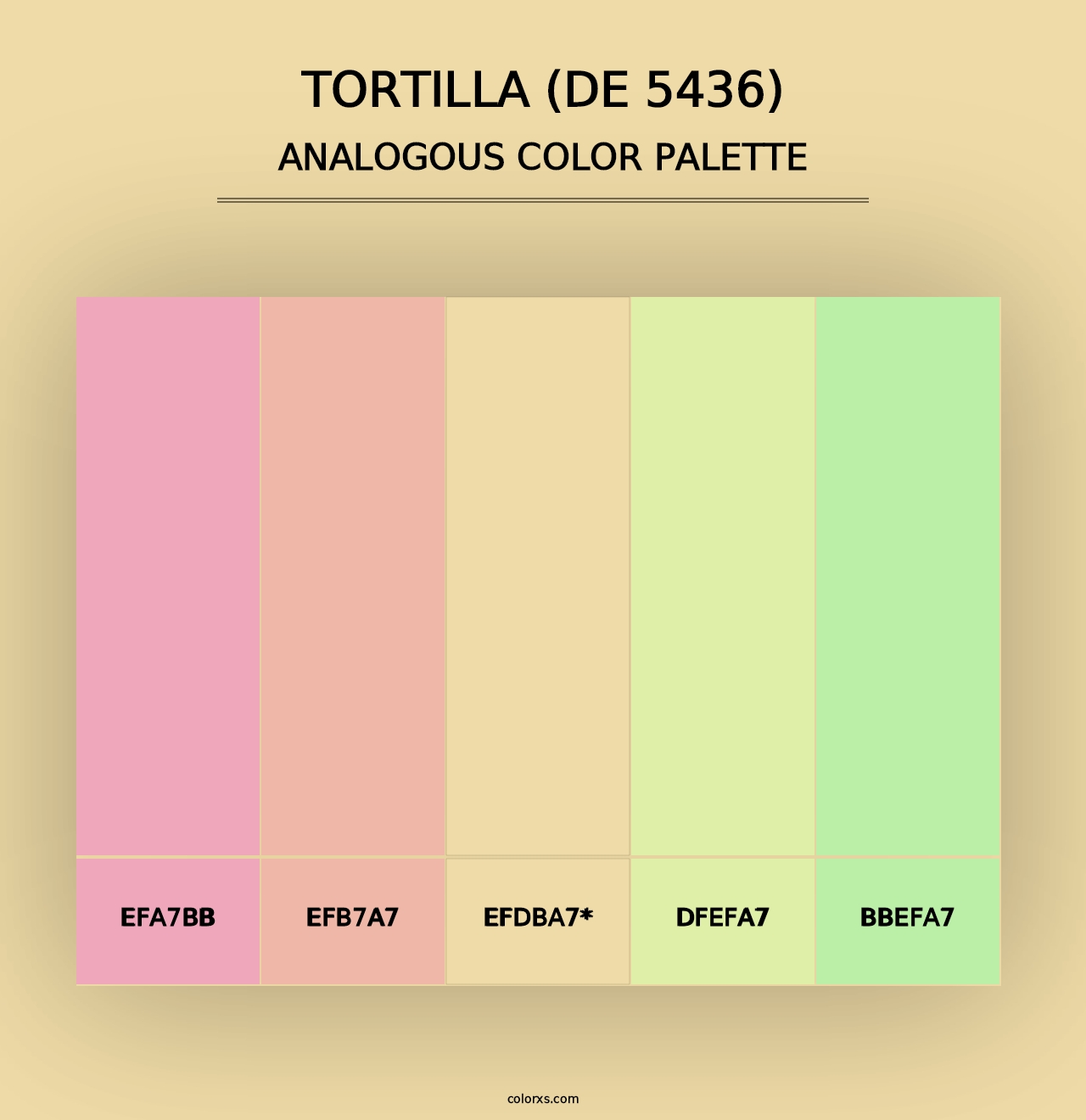 Tortilla (DE 5436) - Analogous Color Palette