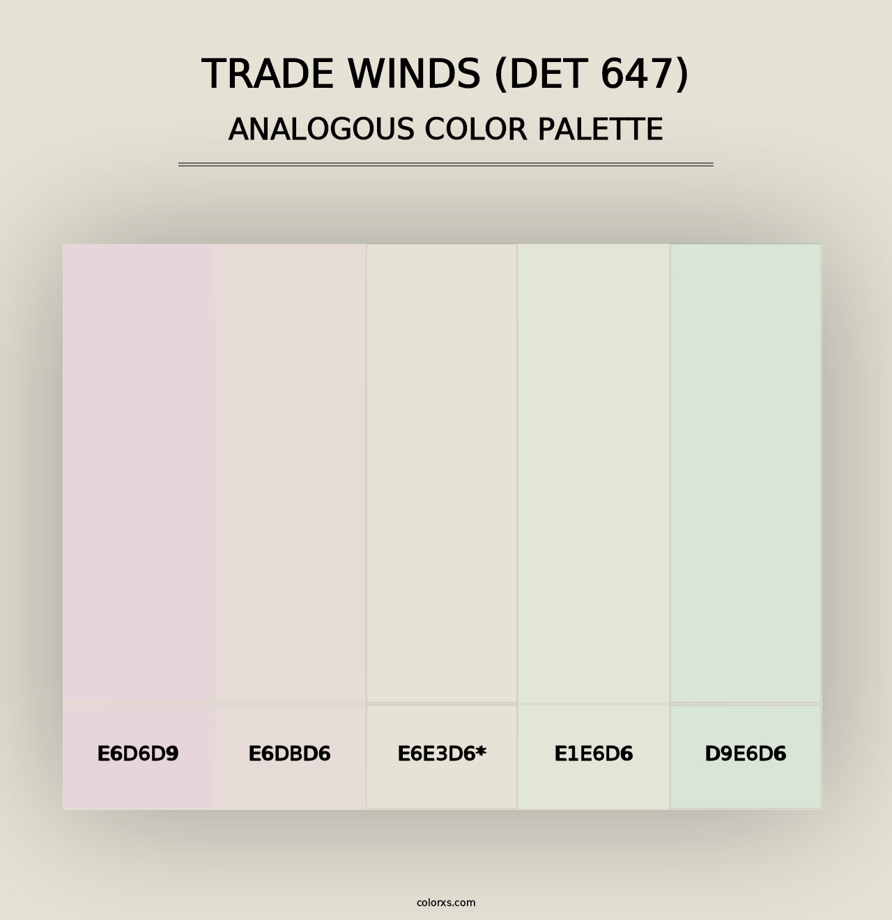 Trade Winds (DET 647) - Analogous Color Palette