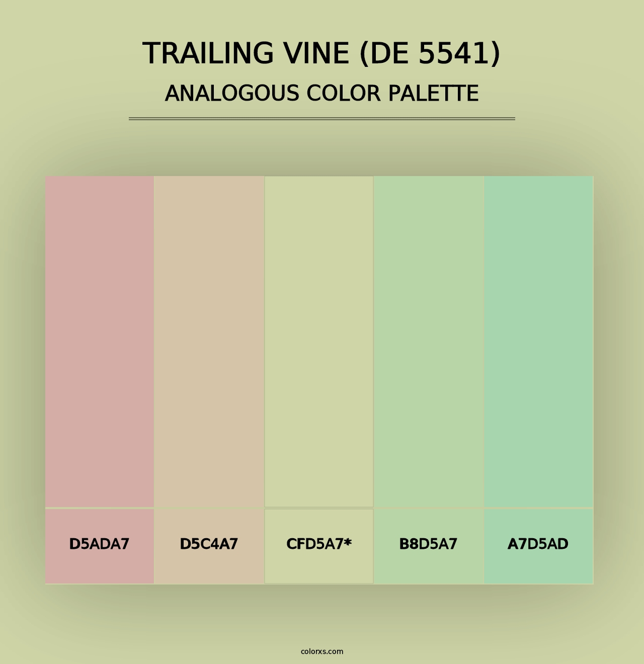 Trailing Vine (DE 5541) - Analogous Color Palette