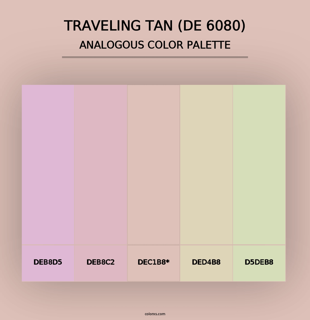 Traveling Tan (DE 6080) - Analogous Color Palette