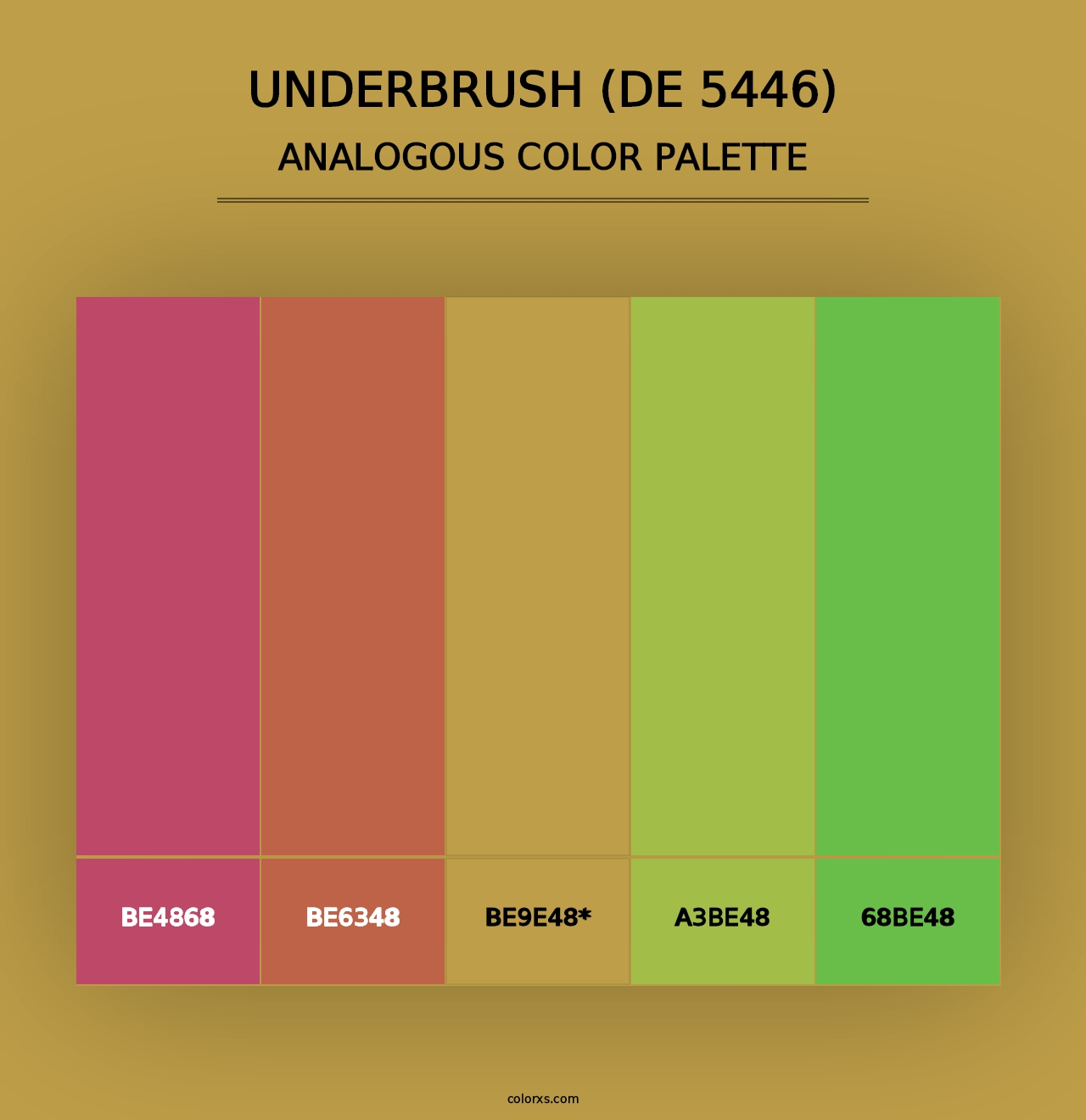 Underbrush (DE 5446) - Analogous Color Palette