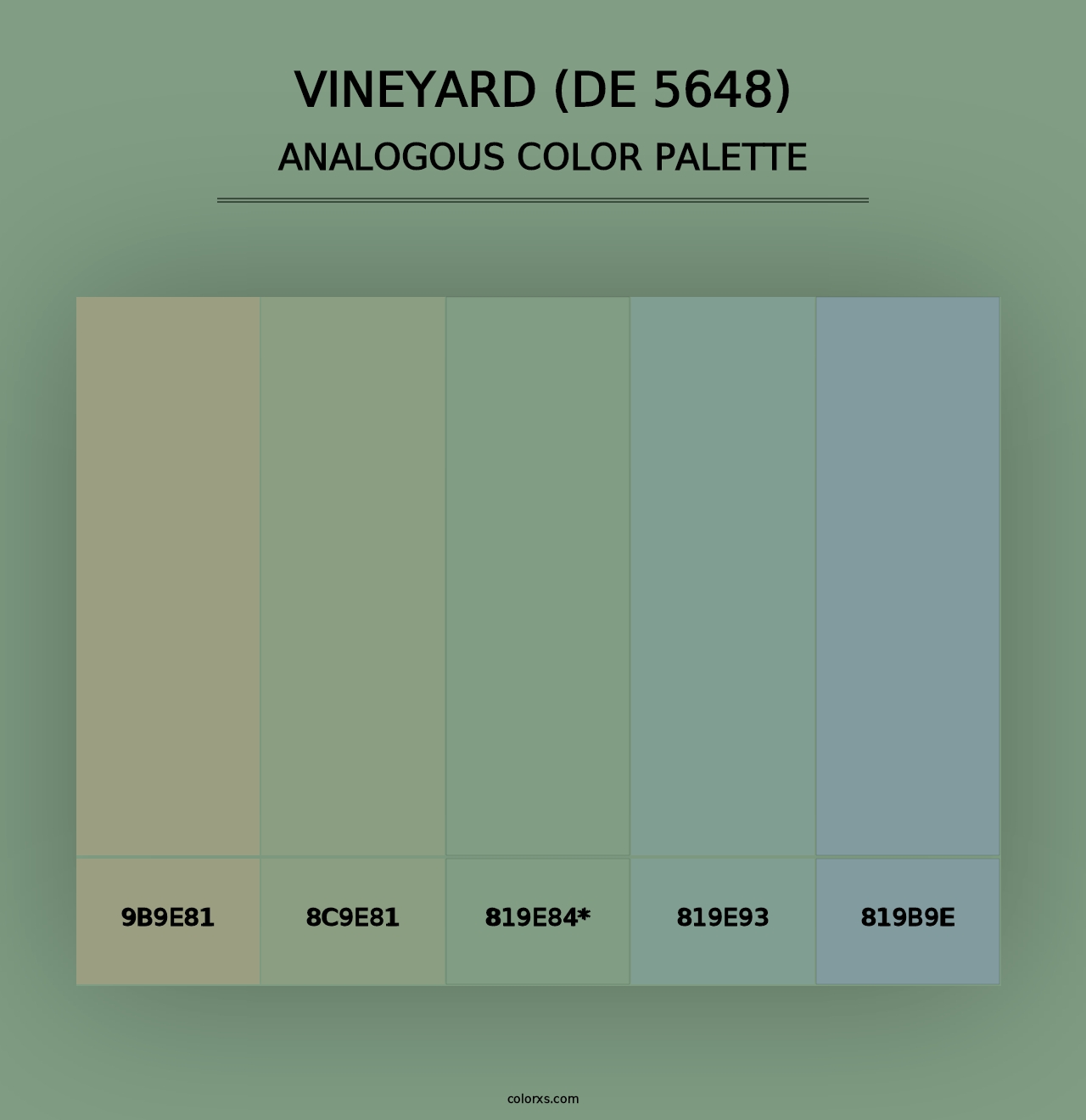 Vineyard (DE 5648) - Analogous Color Palette