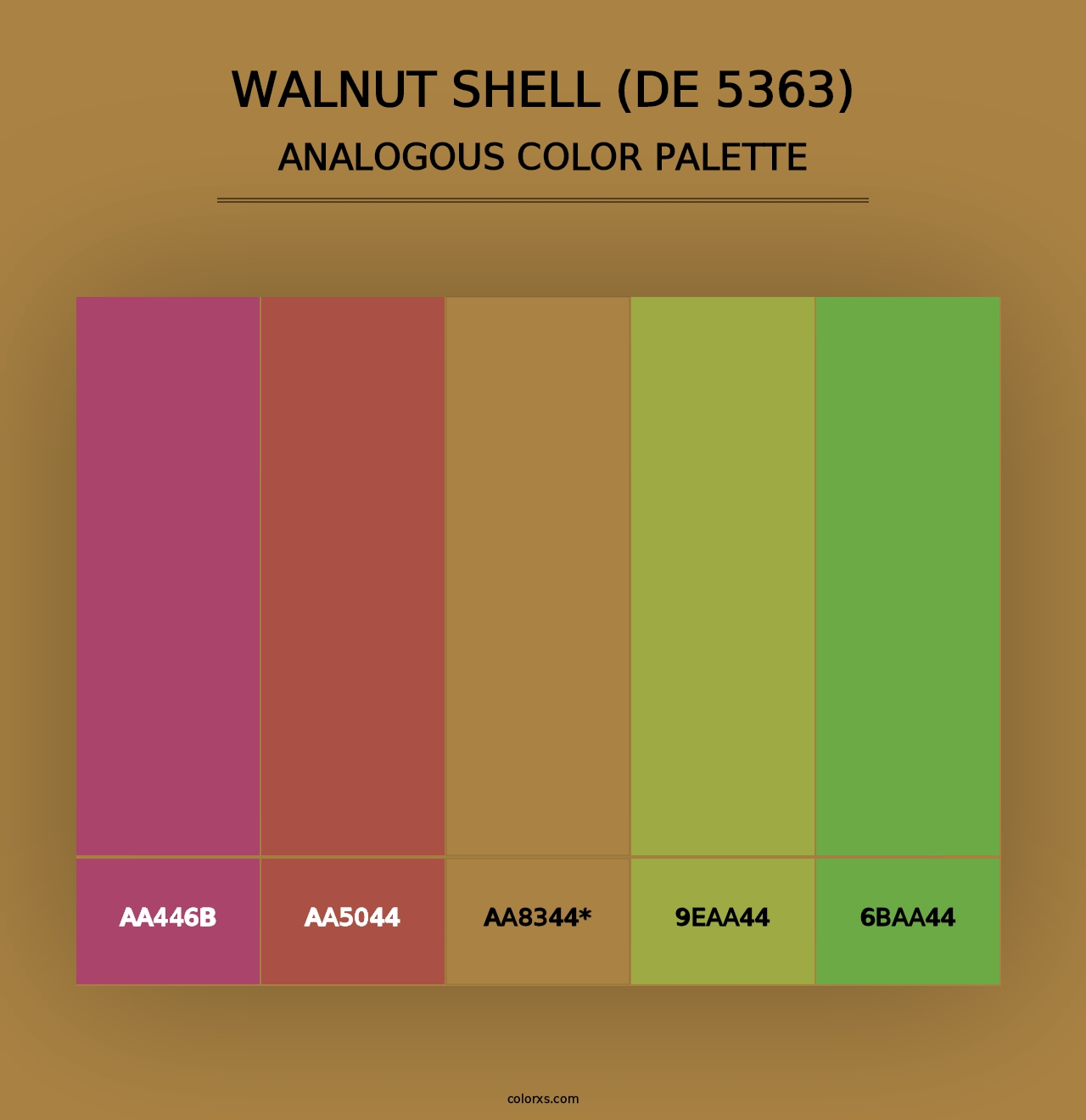 Walnut Shell (DE 5363) - Analogous Color Palette