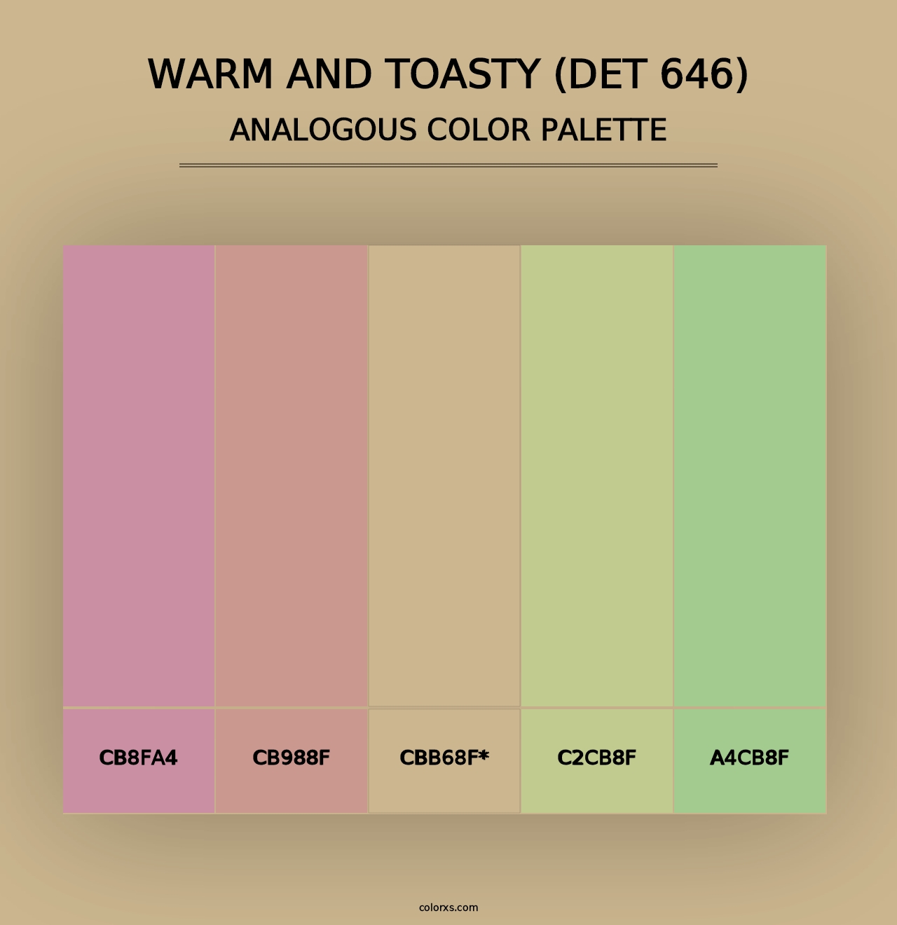 Warm and Toasty (DET 646) - Analogous Color Palette