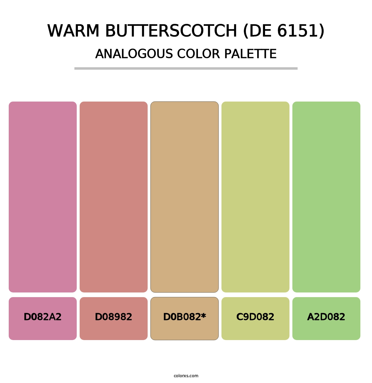 Warm Butterscotch (DE 6151) - Analogous Color Palette