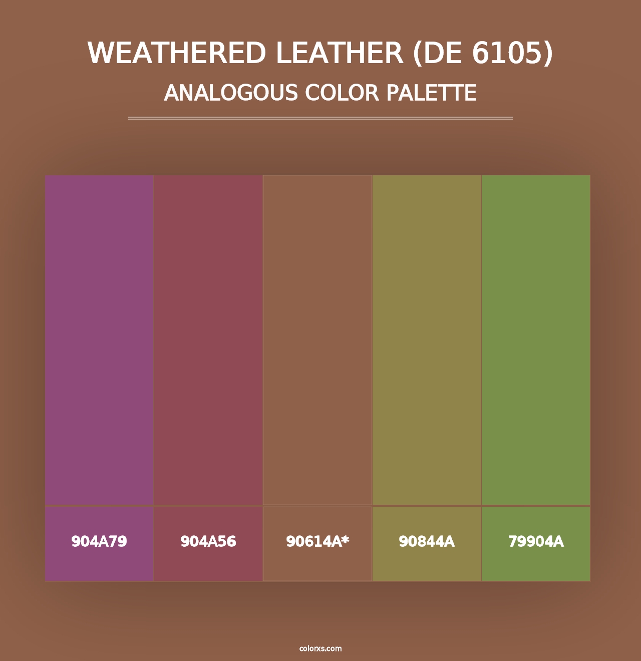 Weathered Leather (DE 6105) - Analogous Color Palette