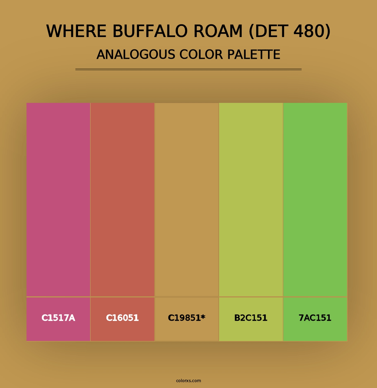 Where Buffalo Roam (DET 480) - Analogous Color Palette