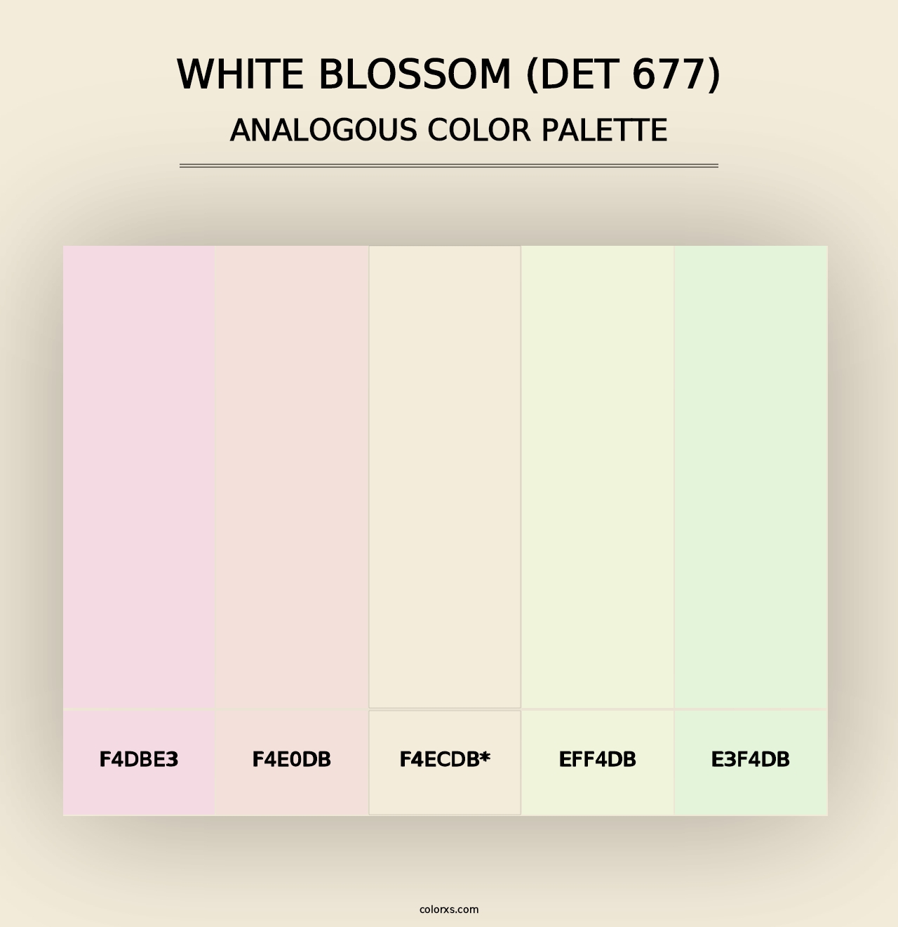 White Blossom (DET 677) - Analogous Color Palette