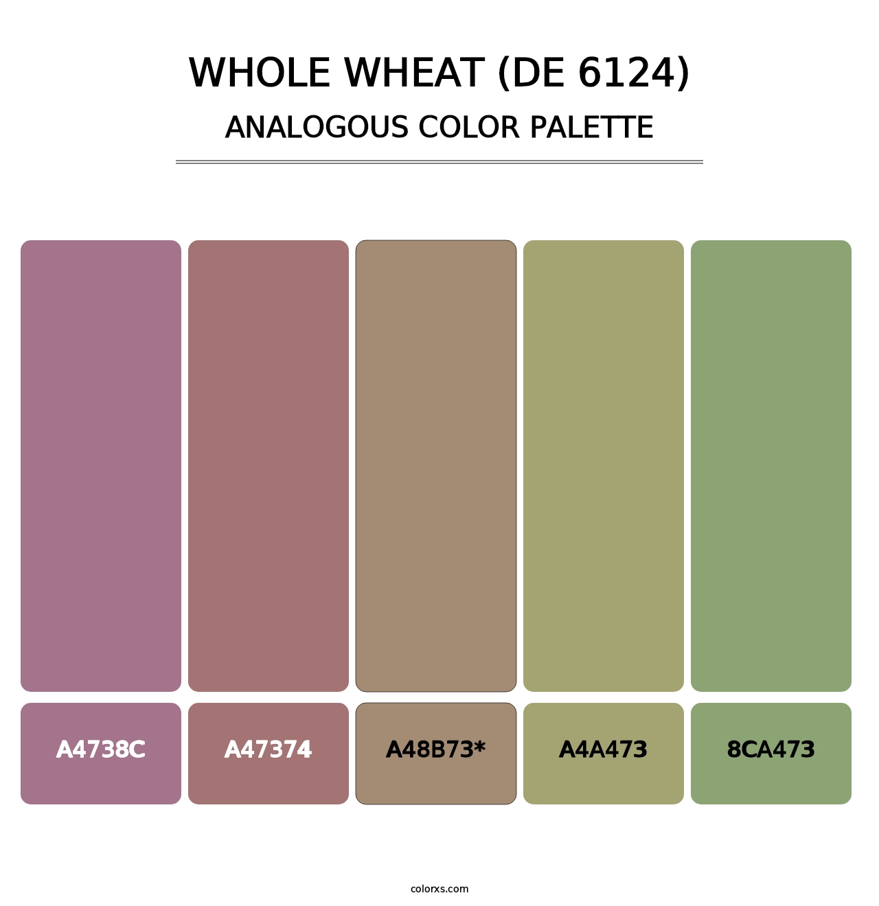 Whole Wheat (DE 6124) - Analogous Color Palette