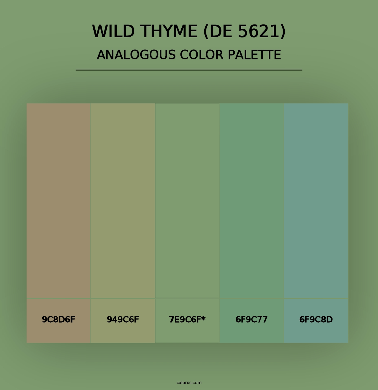 Wild Thyme (DE 5621) - Analogous Color Palette