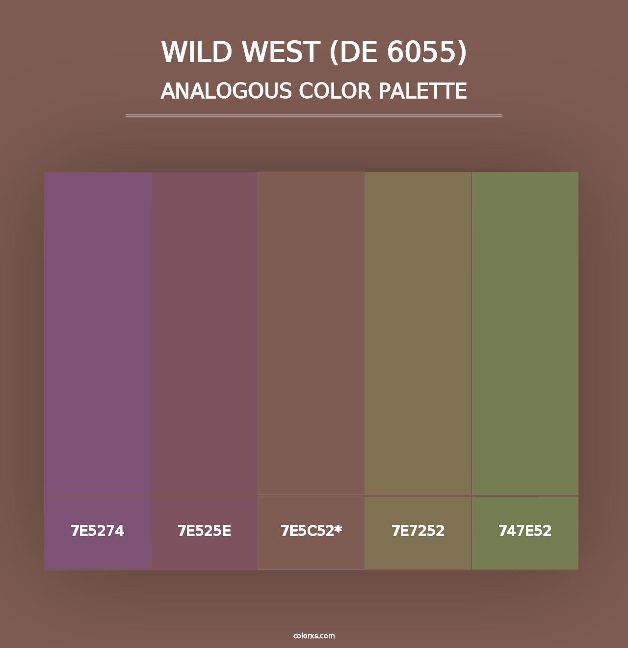 Wild West (DE 6055) - Analogous Color Palette