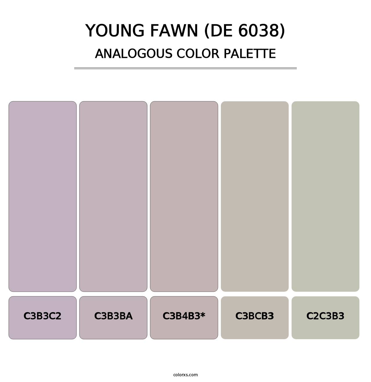 Young Fawn (DE 6038) - Analogous Color Palette