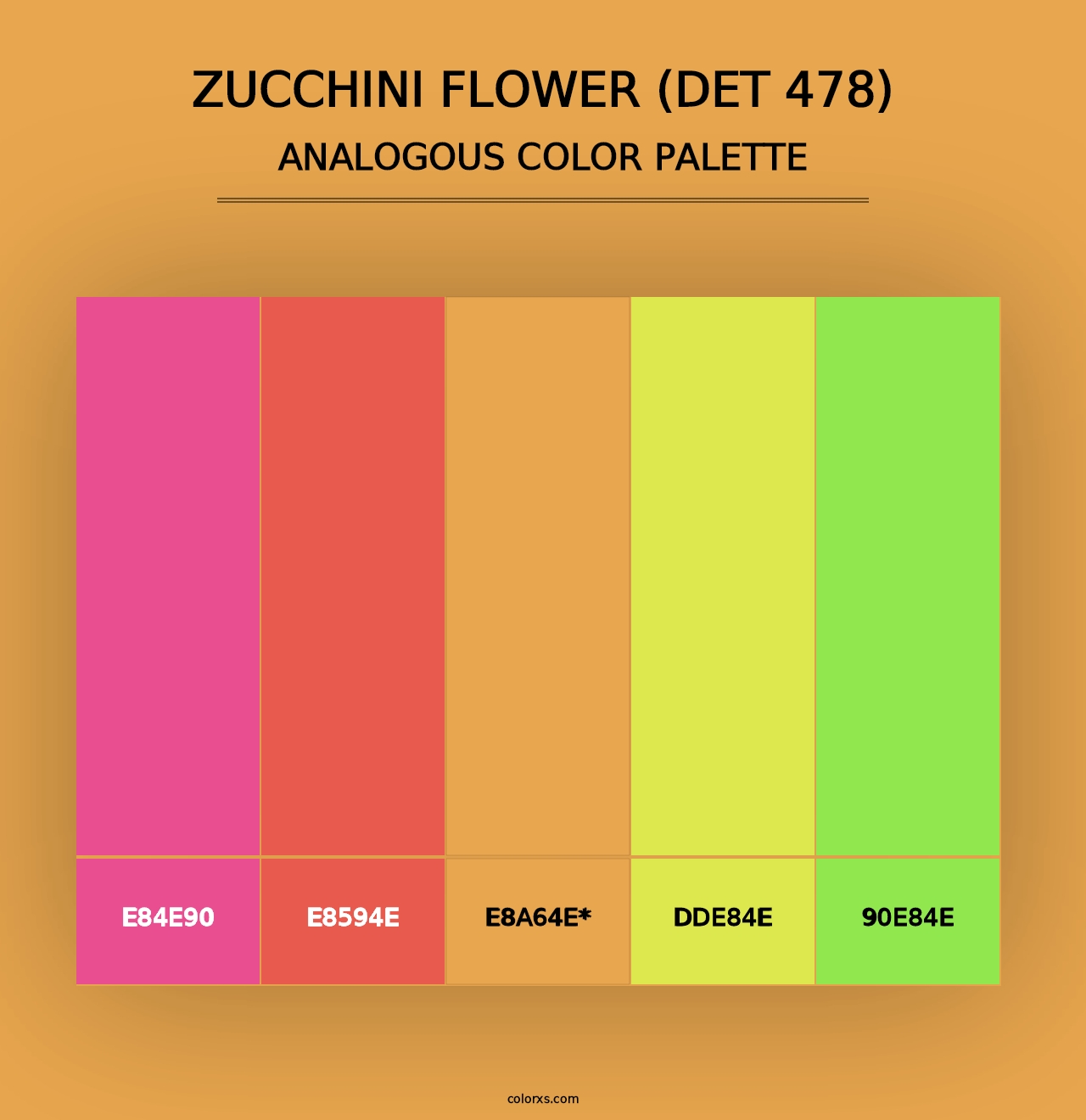 Zucchini Flower (DET 478) - Analogous Color Palette