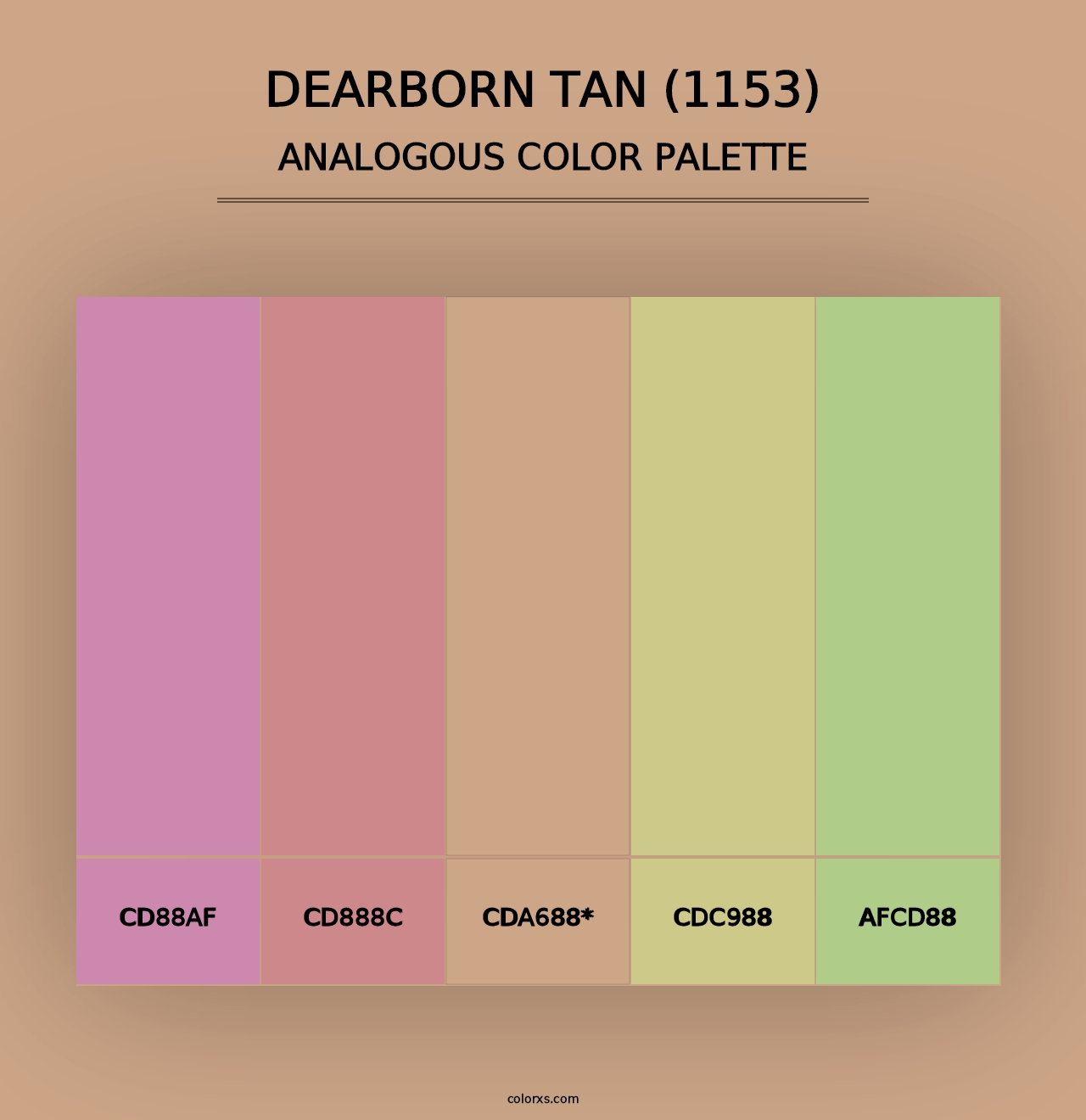 Dearborn Tan (1153) - Analogous Color Palette