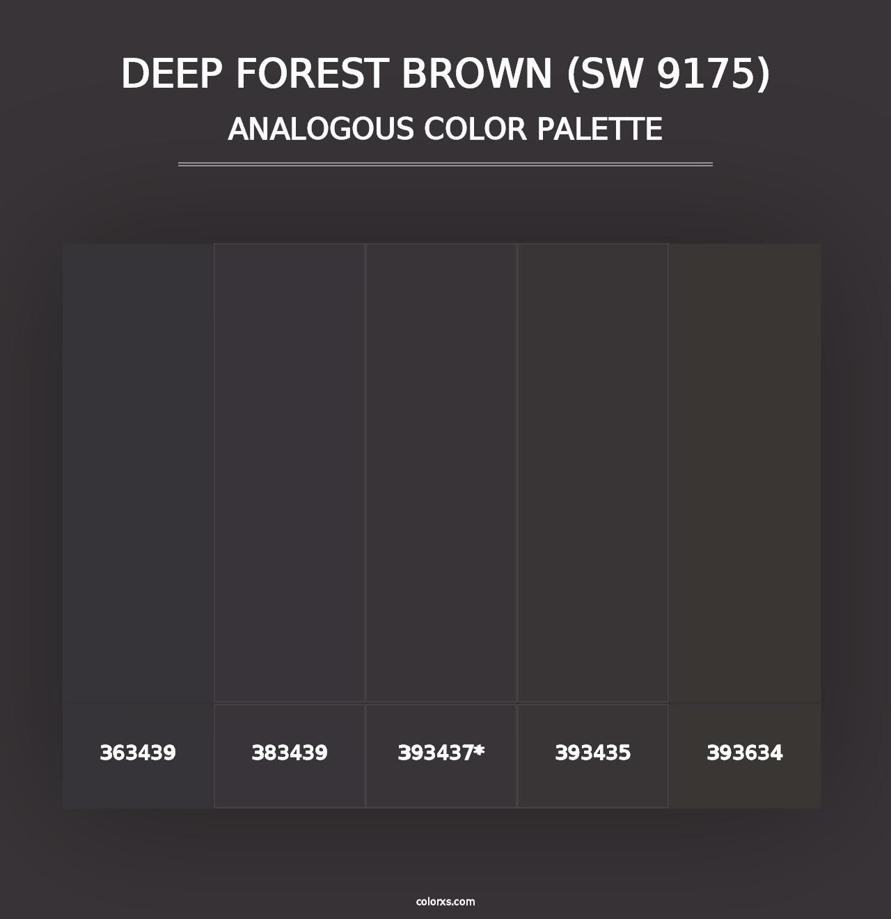 Deep Forest Brown (SW 9175) - Analogous Color Palette