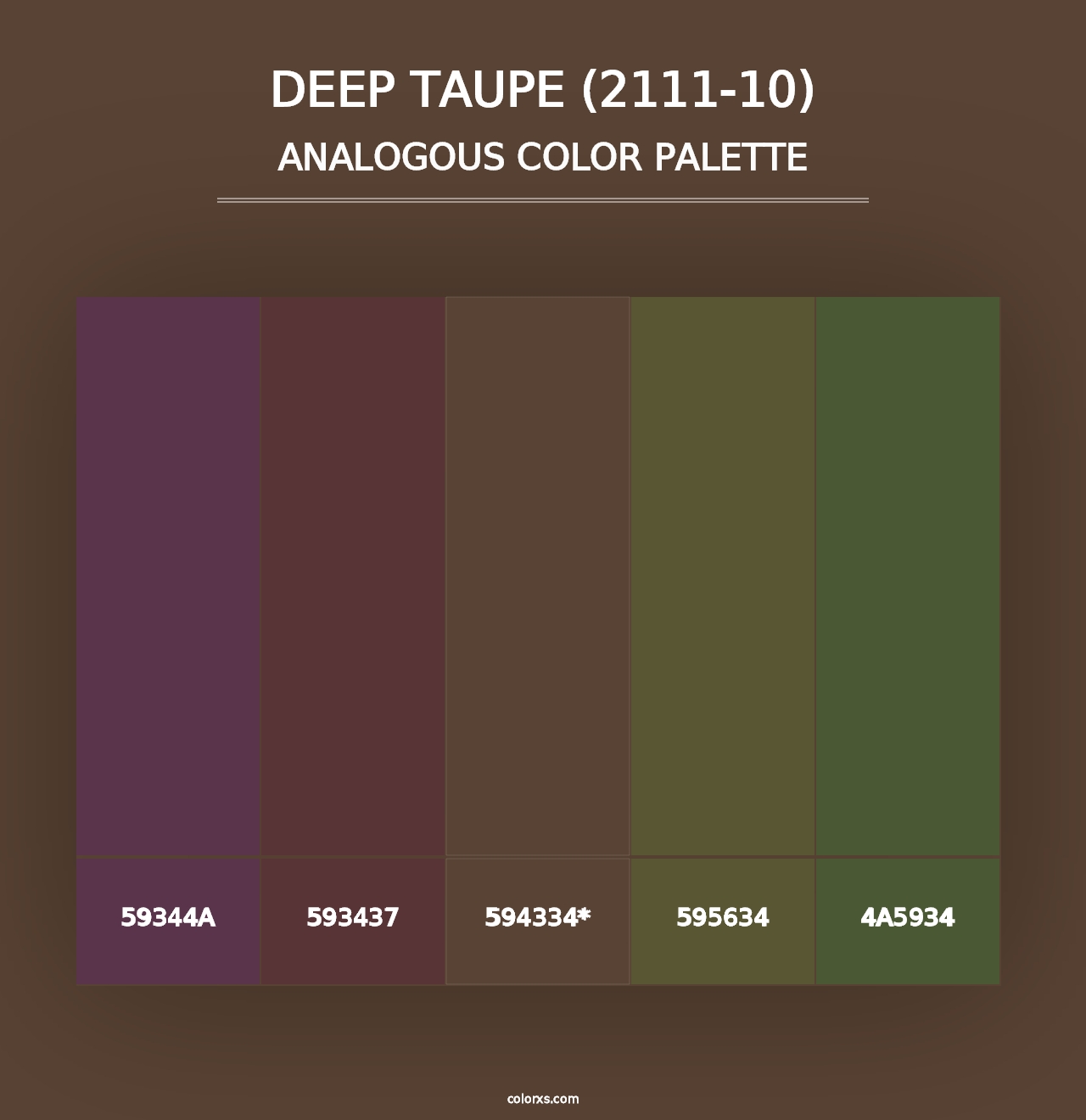 Deep Taupe (2111-10) - Analogous Color Palette