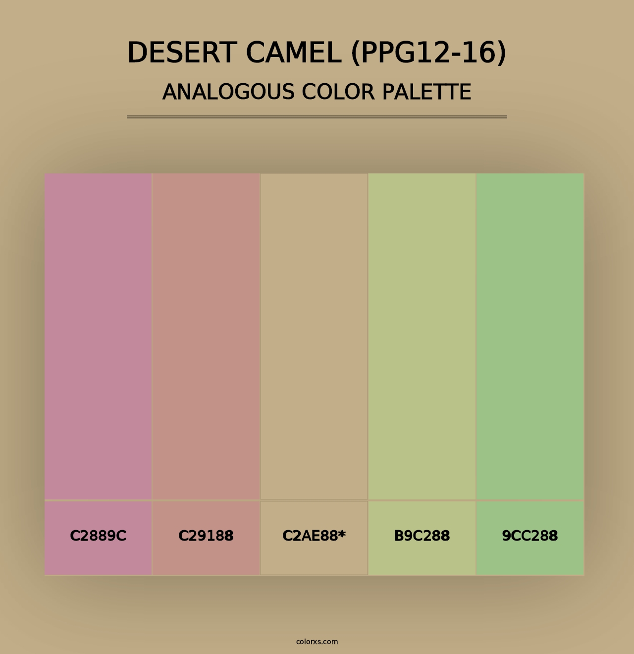 Desert Camel (PPG12-16) - Analogous Color Palette