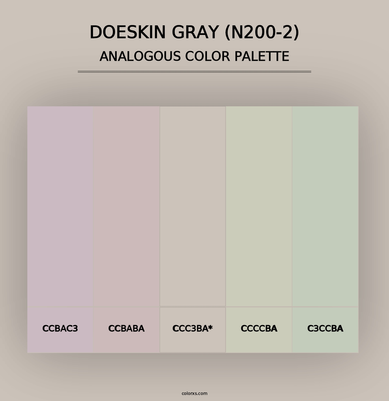 Doeskin Gray (N200-2) - Analogous Color Palette