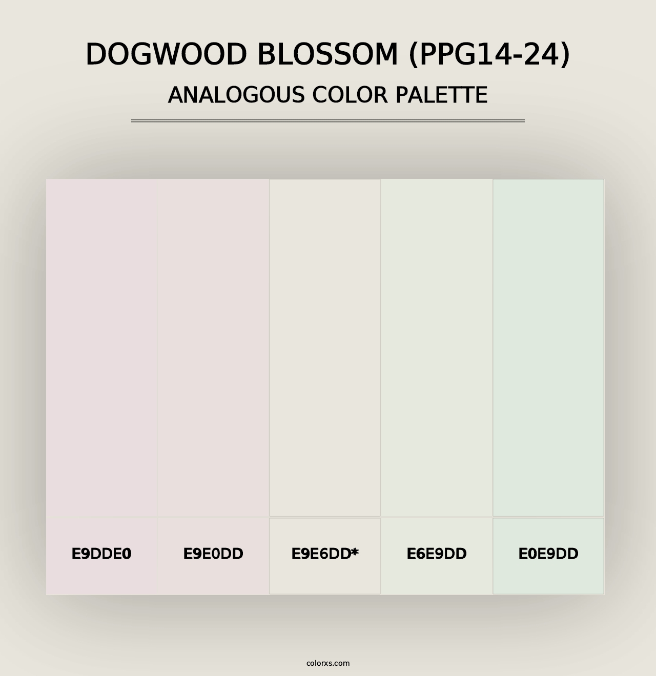 Dogwood Blossom (PPG14-24) - Analogous Color Palette