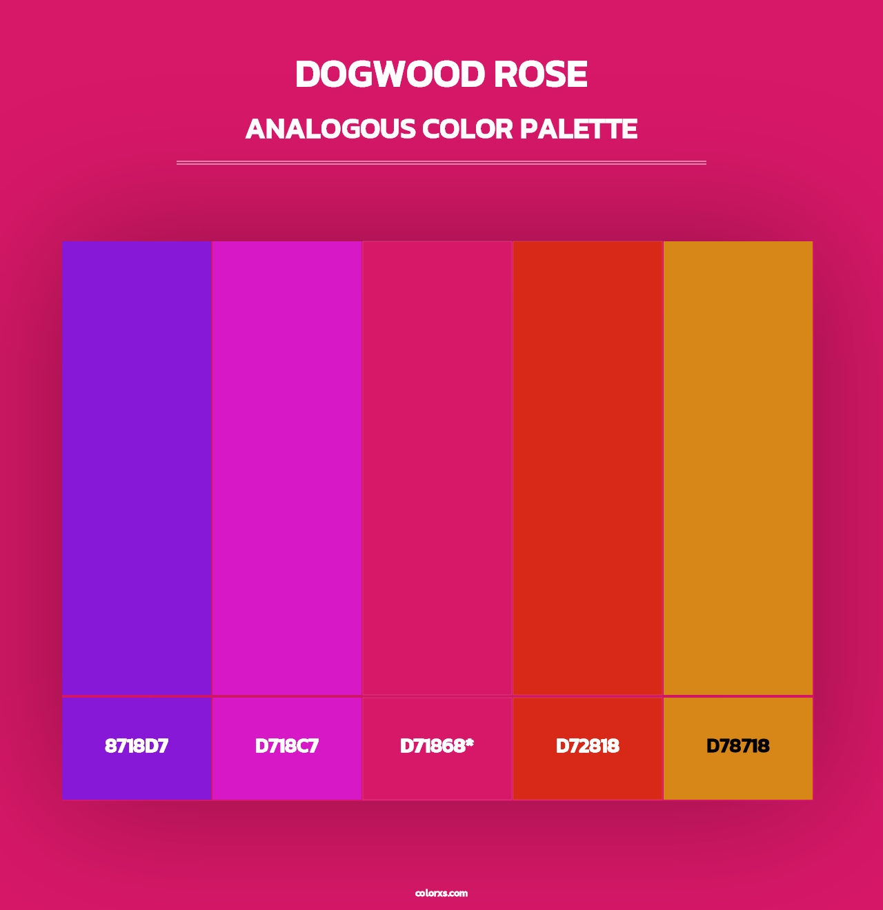 Dogwood Rose - Analogous Color Palette