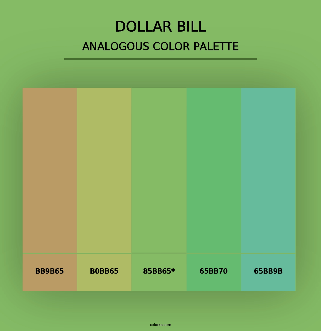 Dollar bill - Analogous Color Palette