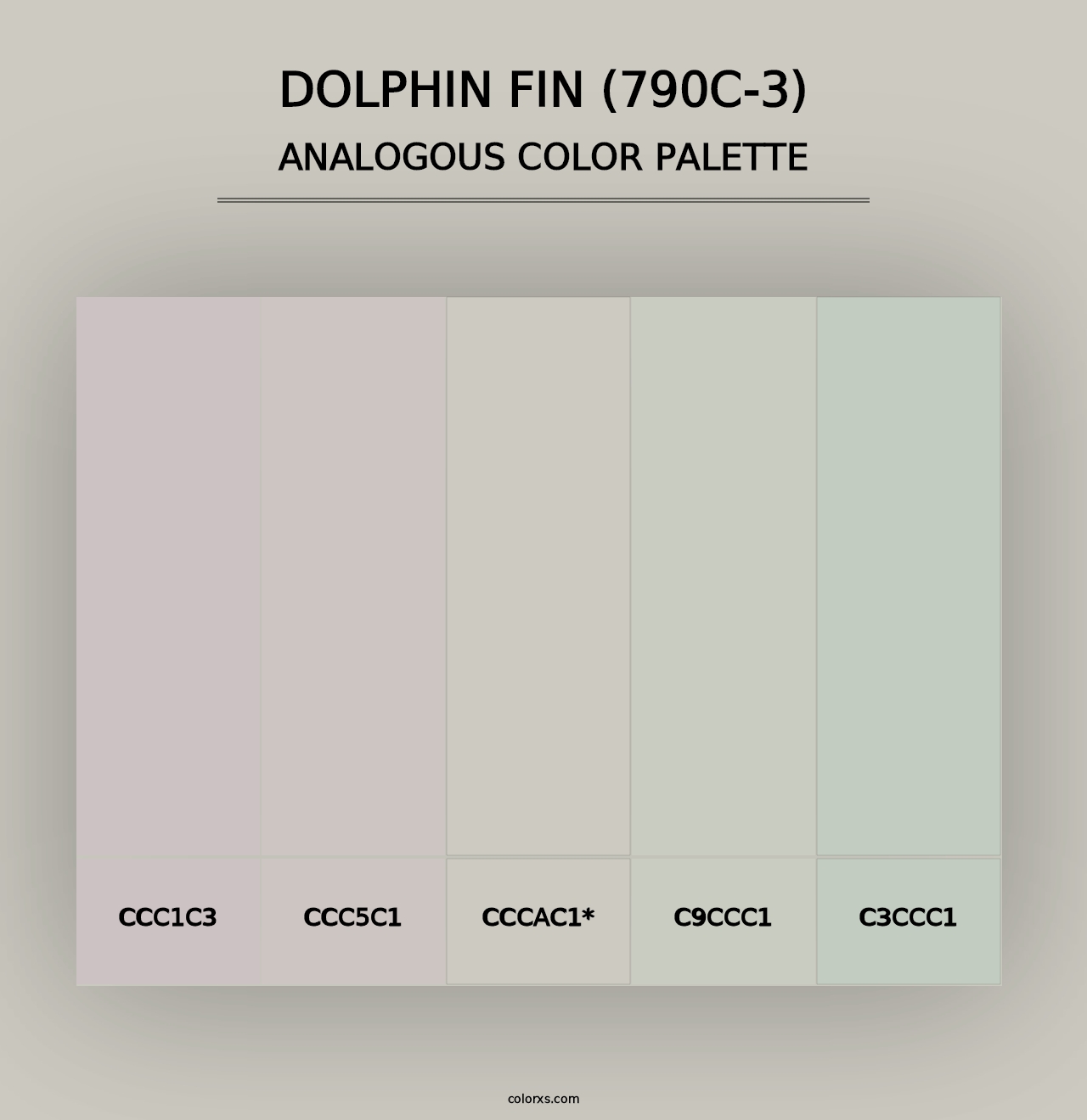 Dolphin Fin (790C-3) - Analogous Color Palette