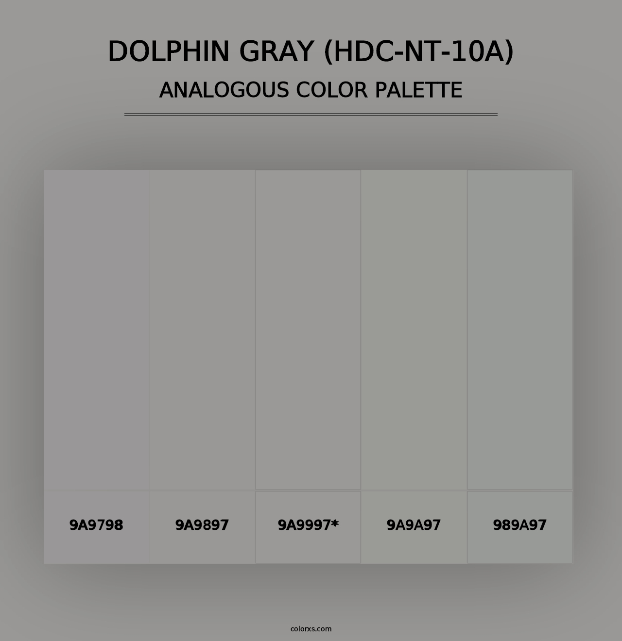 Dolphin Gray (HDC-NT-10A) - Analogous Color Palette