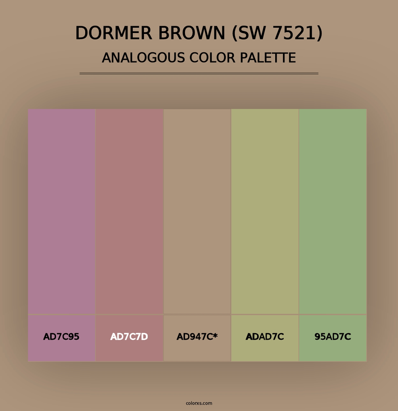 Dormer Brown (SW 7521) - Analogous Color Palette