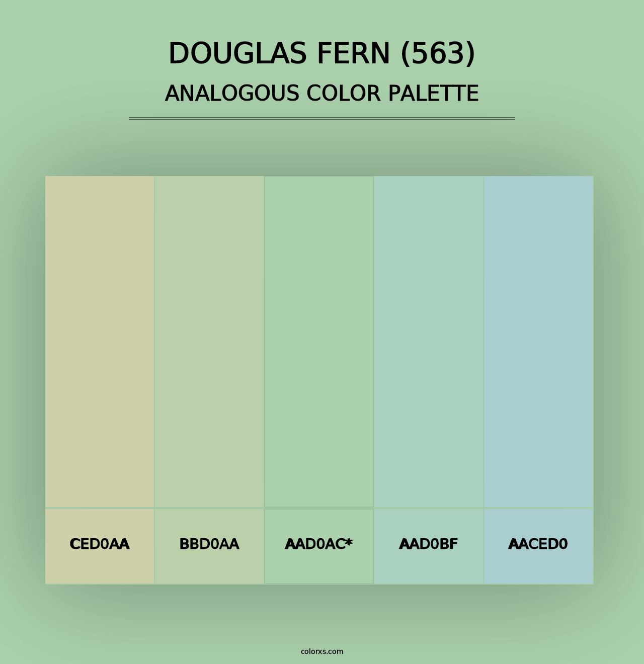 Douglas Fern (563) - Analogous Color Palette