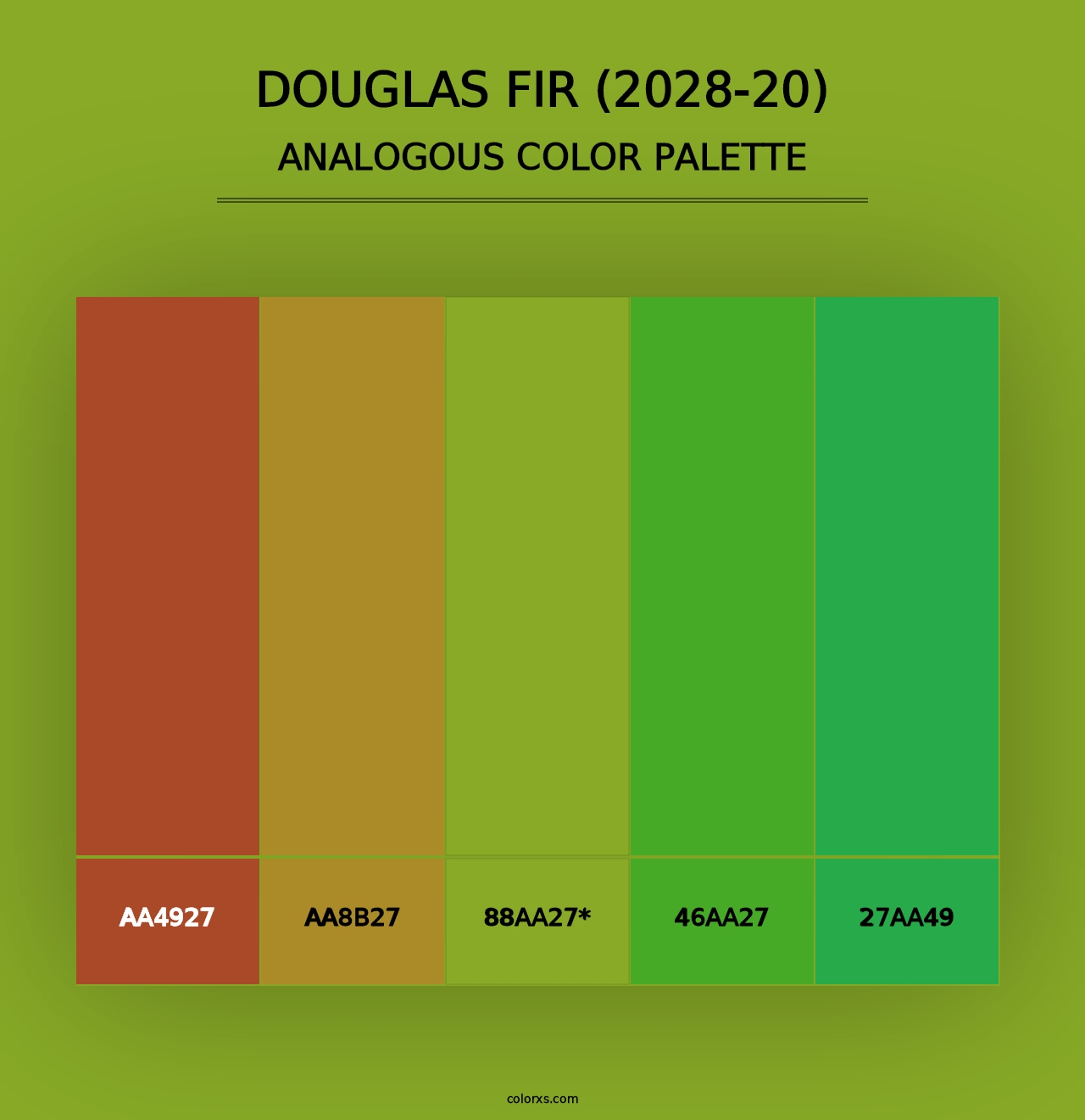 Douglas Fir (2028-20) - Analogous Color Palette