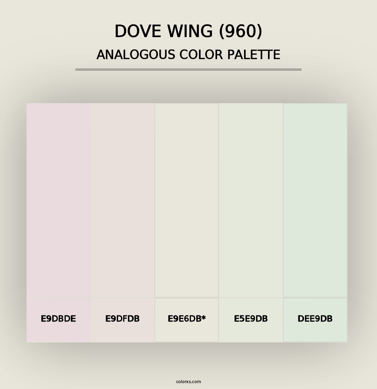 Dove Wing (960) - Analogous Color Palette