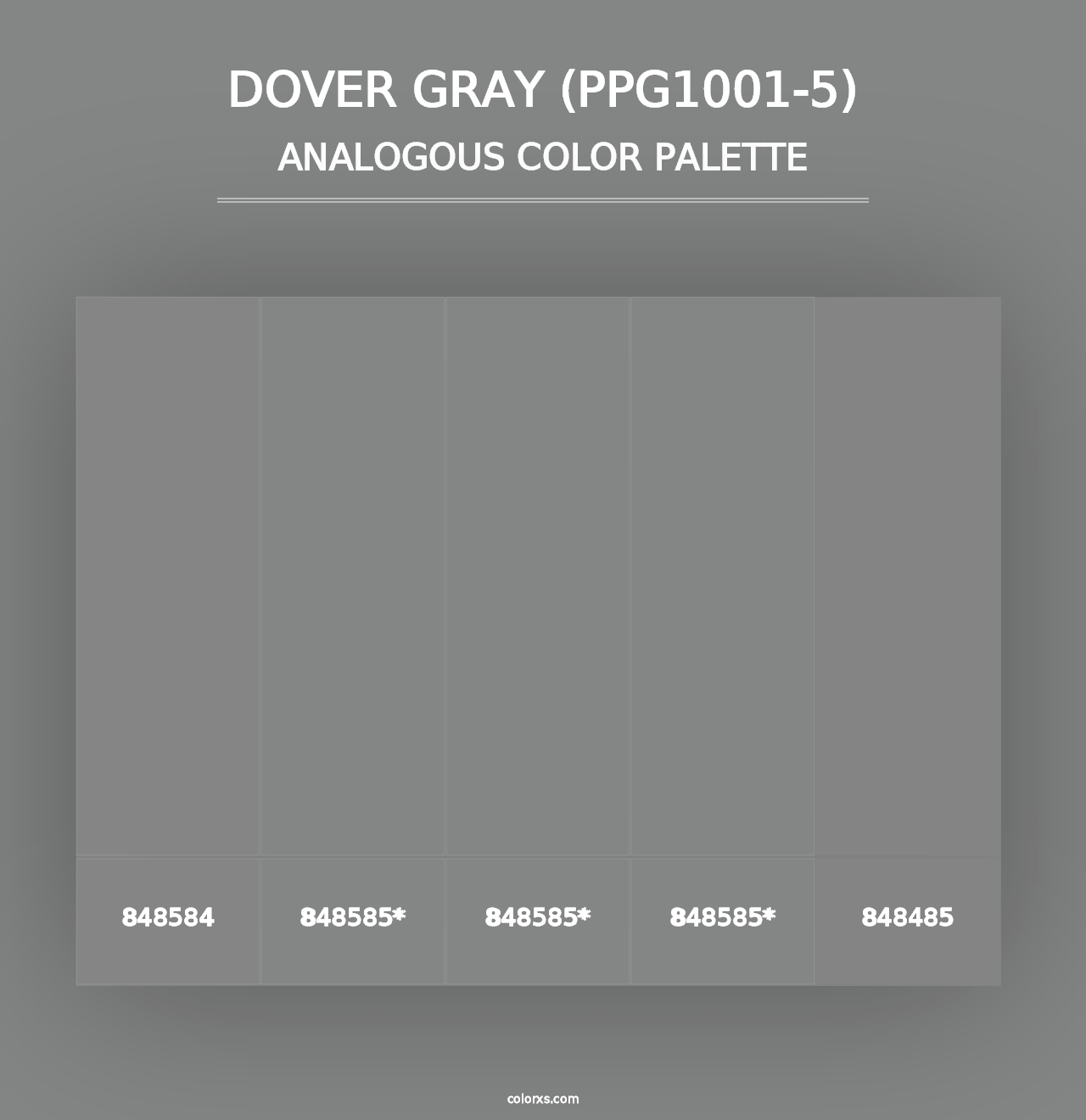 Dover Gray (PPG1001-5) - Analogous Color Palette