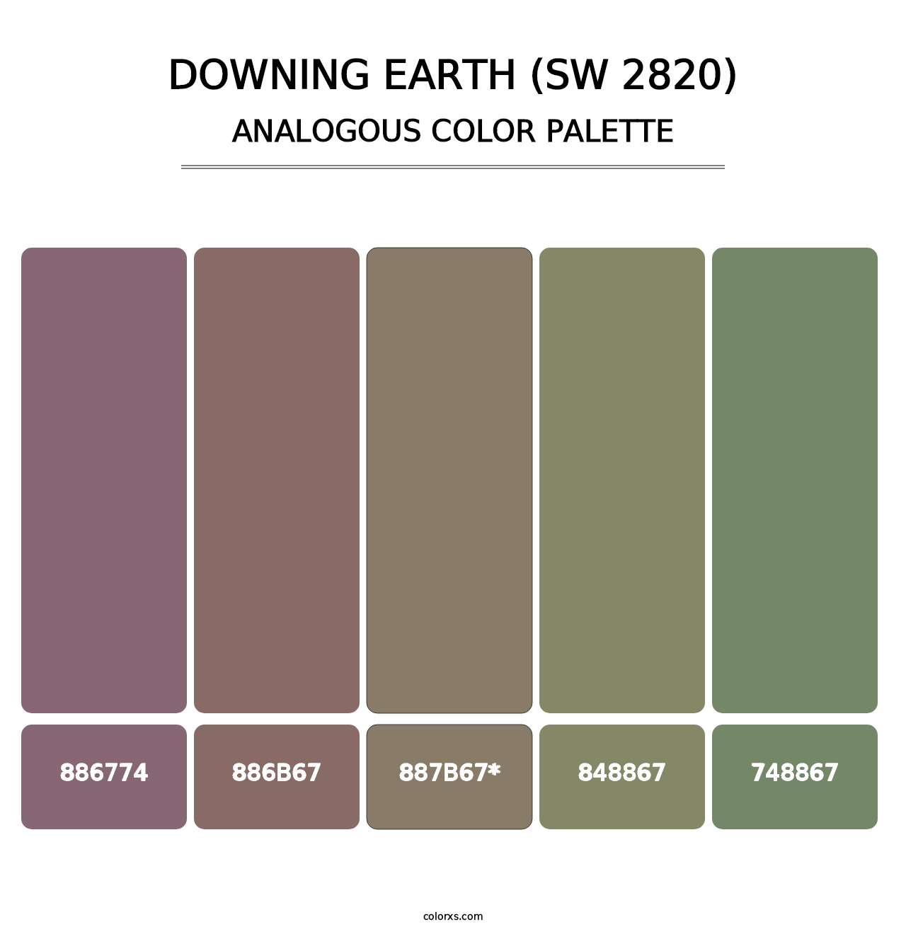 Downing Earth (SW 2820) - Analogous Color Palette