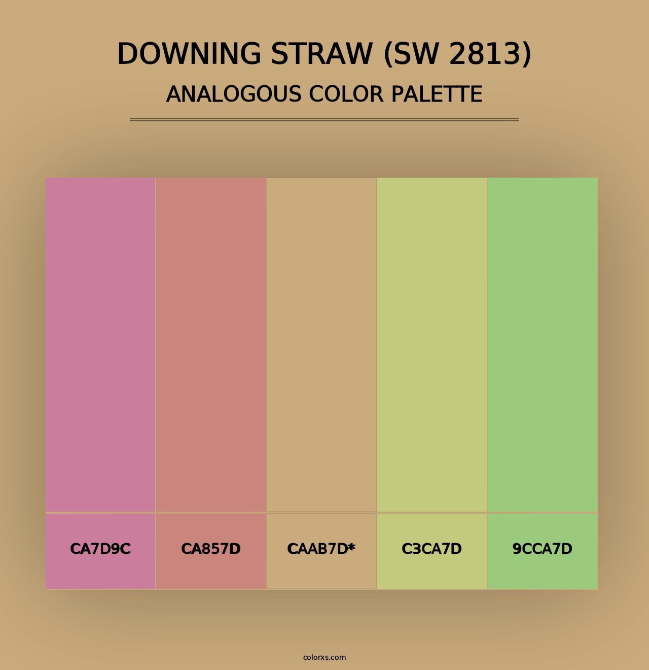 Downing Straw (SW 2813) - Analogous Color Palette