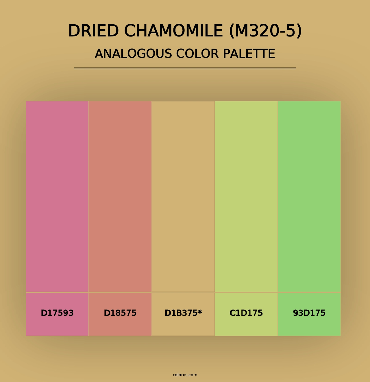 Dried Chamomile (M320-5) - Analogous Color Palette