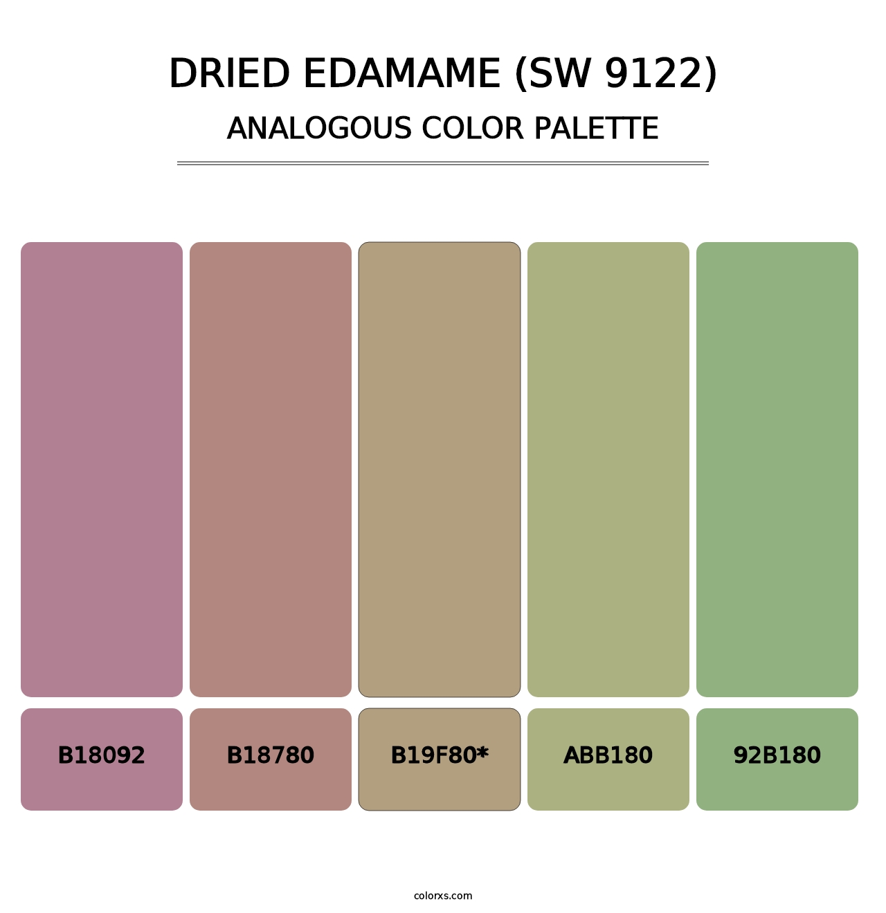 Dried Edamame (SW 9122) - Analogous Color Palette