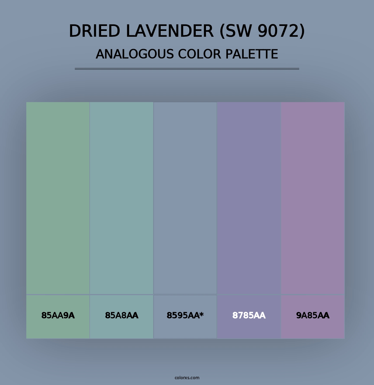 Dried Lavender (SW 9072) - Analogous Color Palette