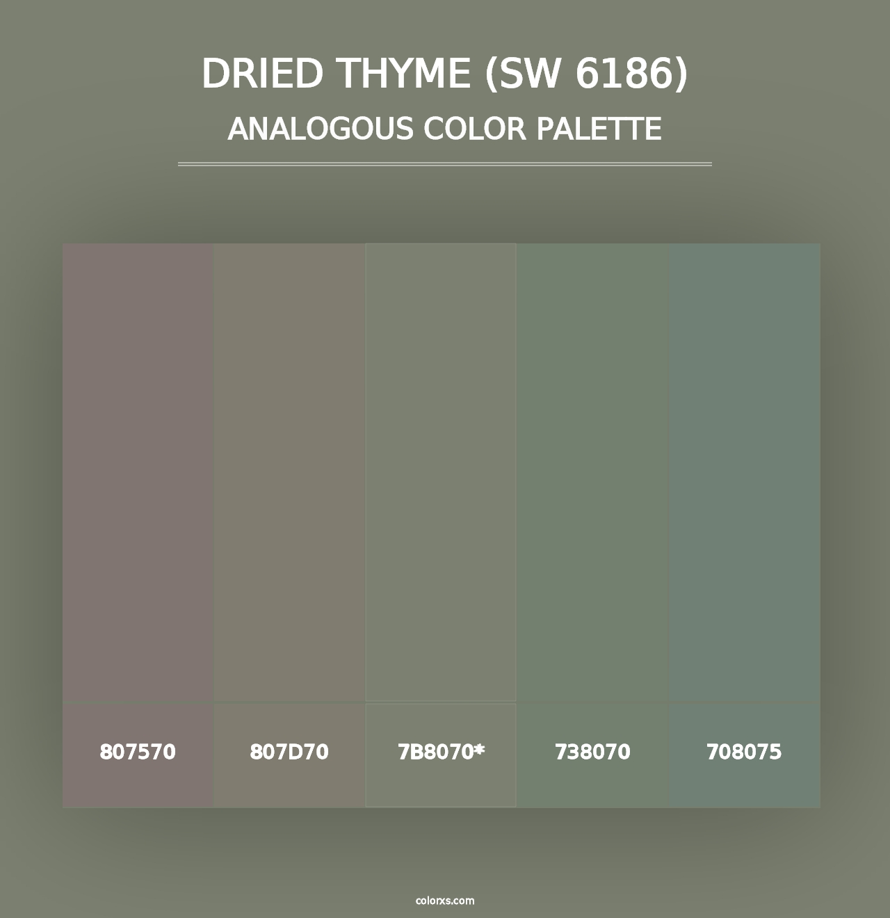 Dried Thyme (SW 6186) - Analogous Color Palette