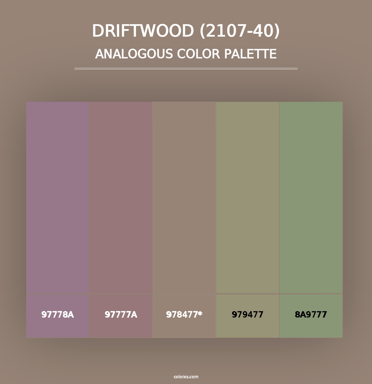 Driftwood (2107-40) - Analogous Color Palette