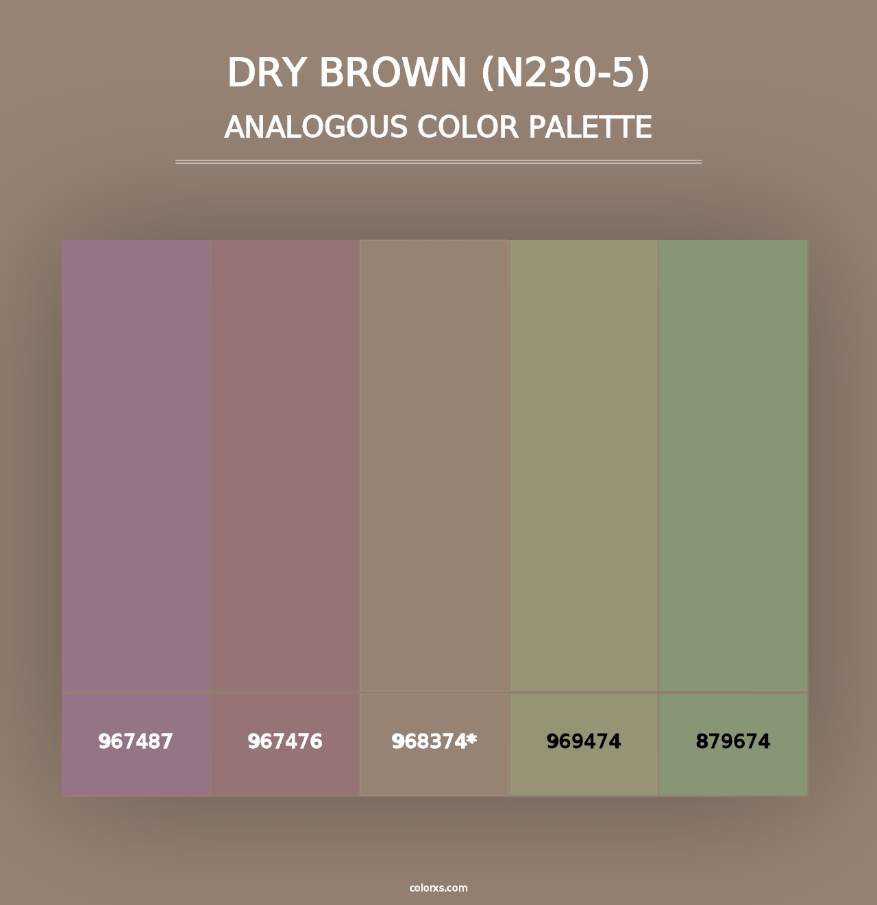 Dry Brown (N230-5) - Analogous Color Palette